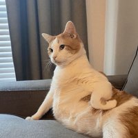 Jamie (7/26-8/1暫停出貨)