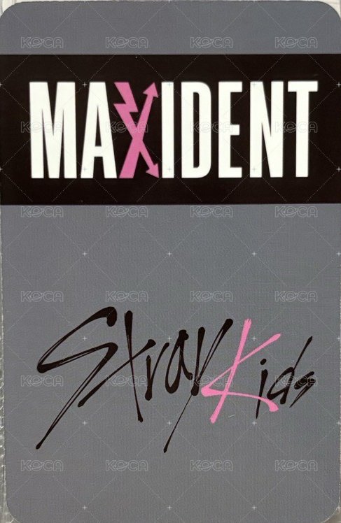 MAXIDENT 蝦皮 特典卡  背面