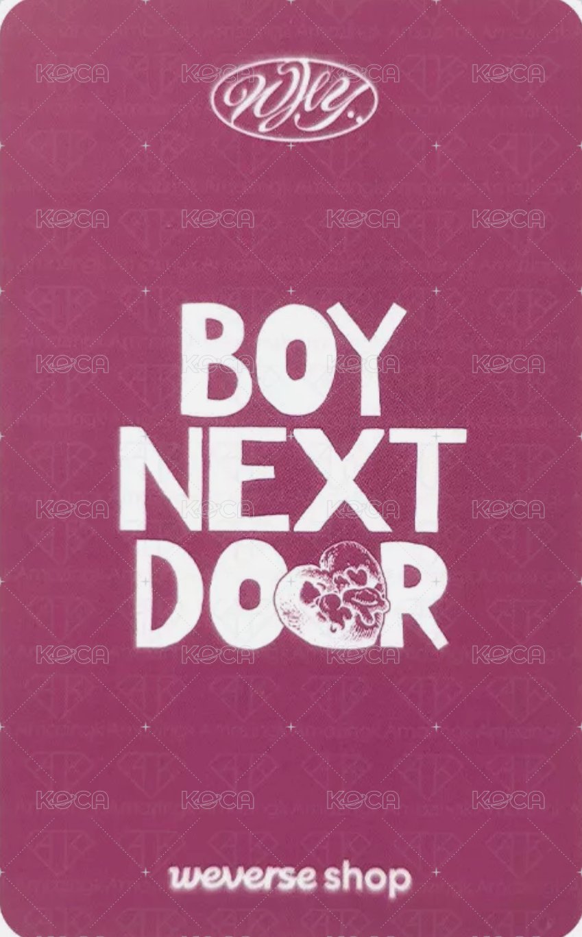 WHY.. wvs 特典卡 1 背面