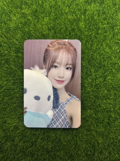 (G)I-DLE amld 帕恰狗刷