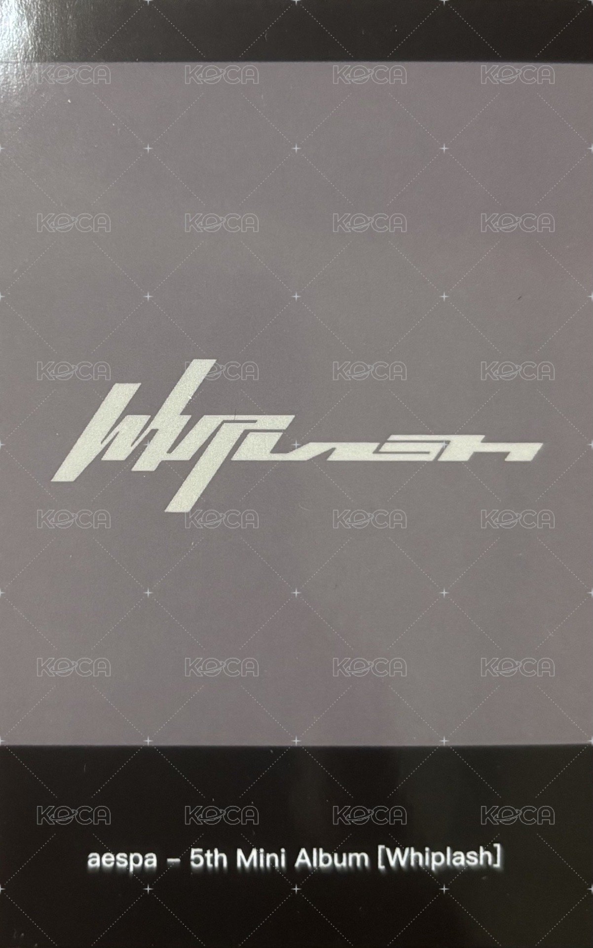 Whiplash kms 特典卡 預售拍立得柚 背面