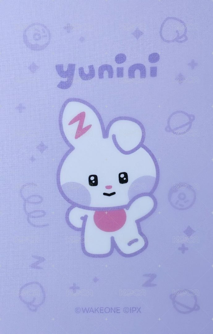 迷三快閃 周邊卡 ZB1 LINE FRIENDS 立牌卡 背面