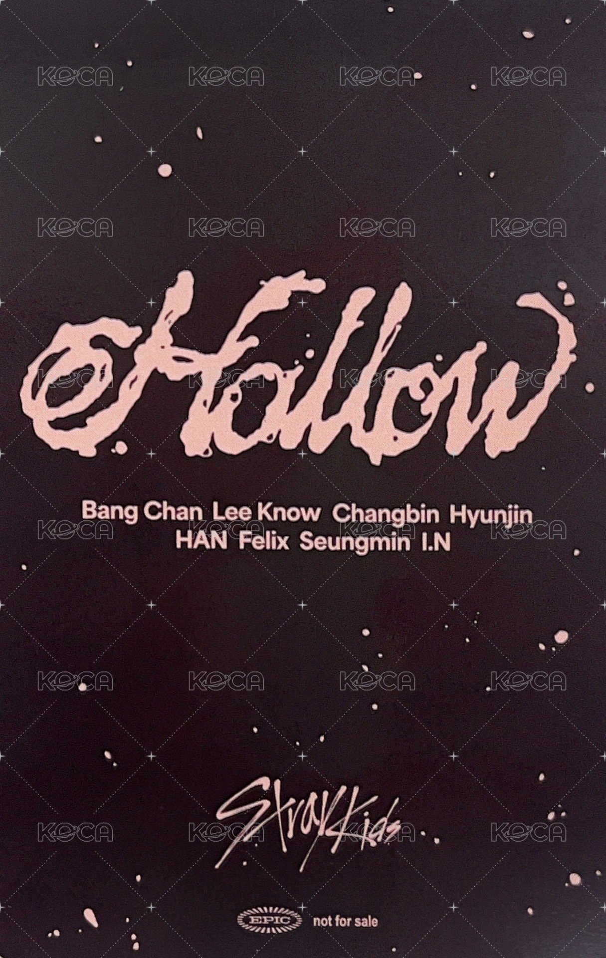 Hollow JYP JAPAN Fanclub 特典卡 FC盤 B賞雙人卡 背面