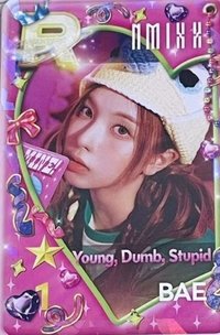 遊戲卡 YDS裴