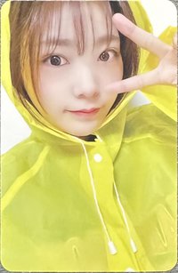 迷一 ms 特典卡 2.0 雨衣燕