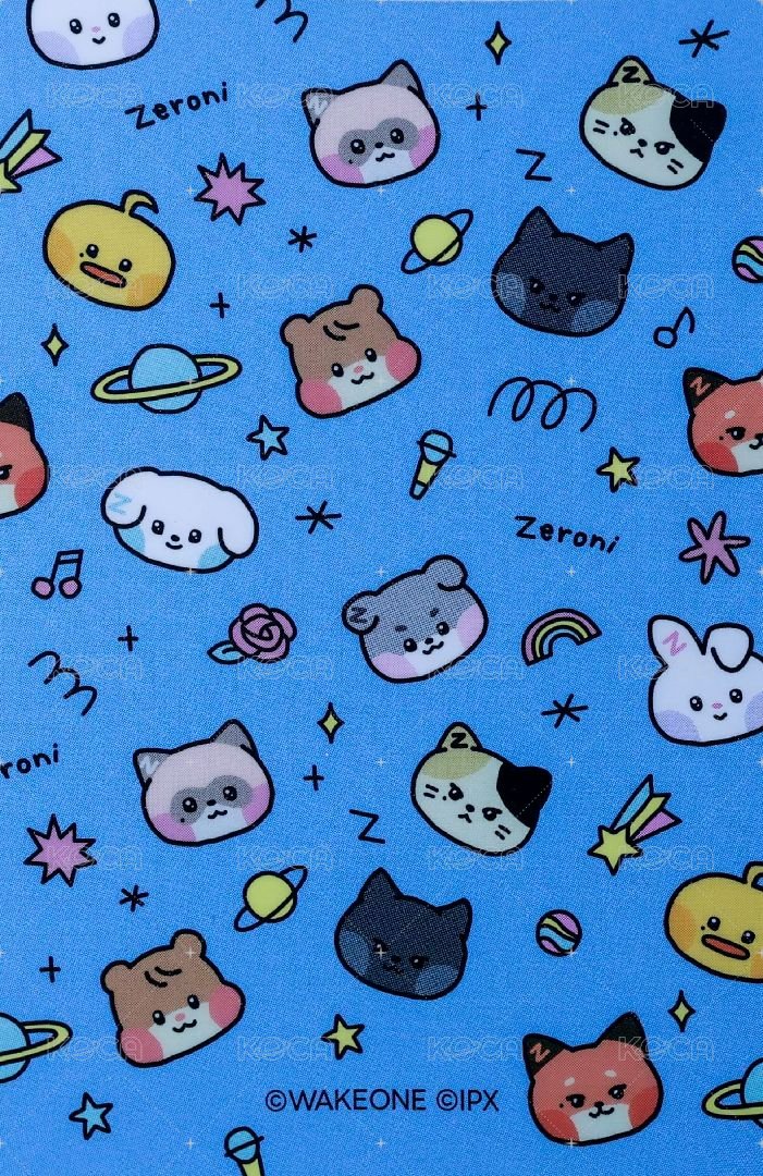 迷三快閃 滿額卡 ZB1 LINE FRIENDS 滿額卡 背面