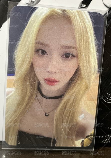 星河簽售金髮冬