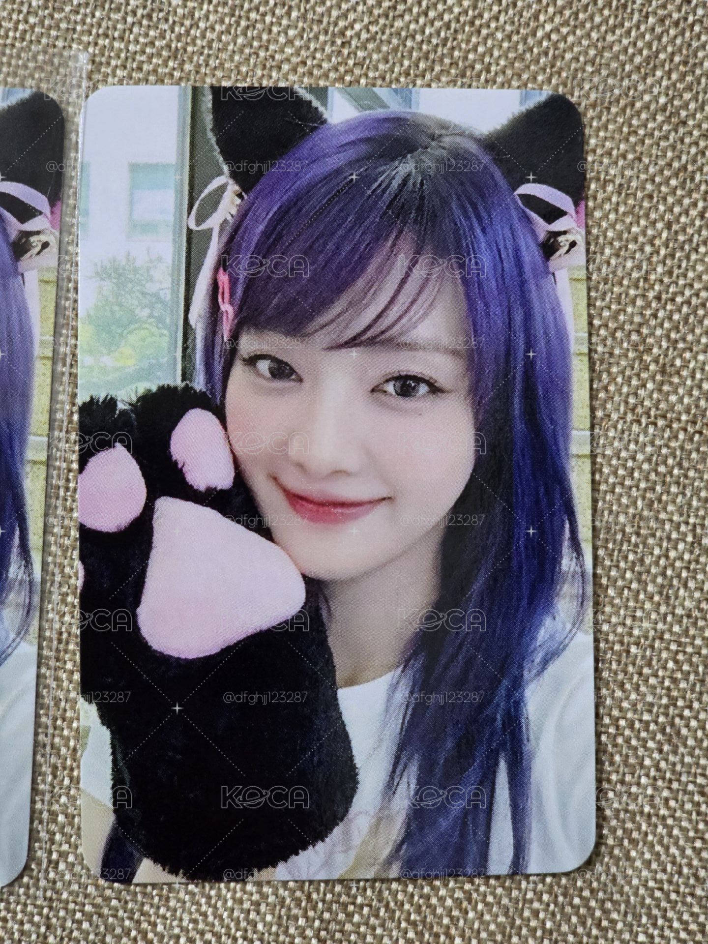 貓爪妮 迷八妮王