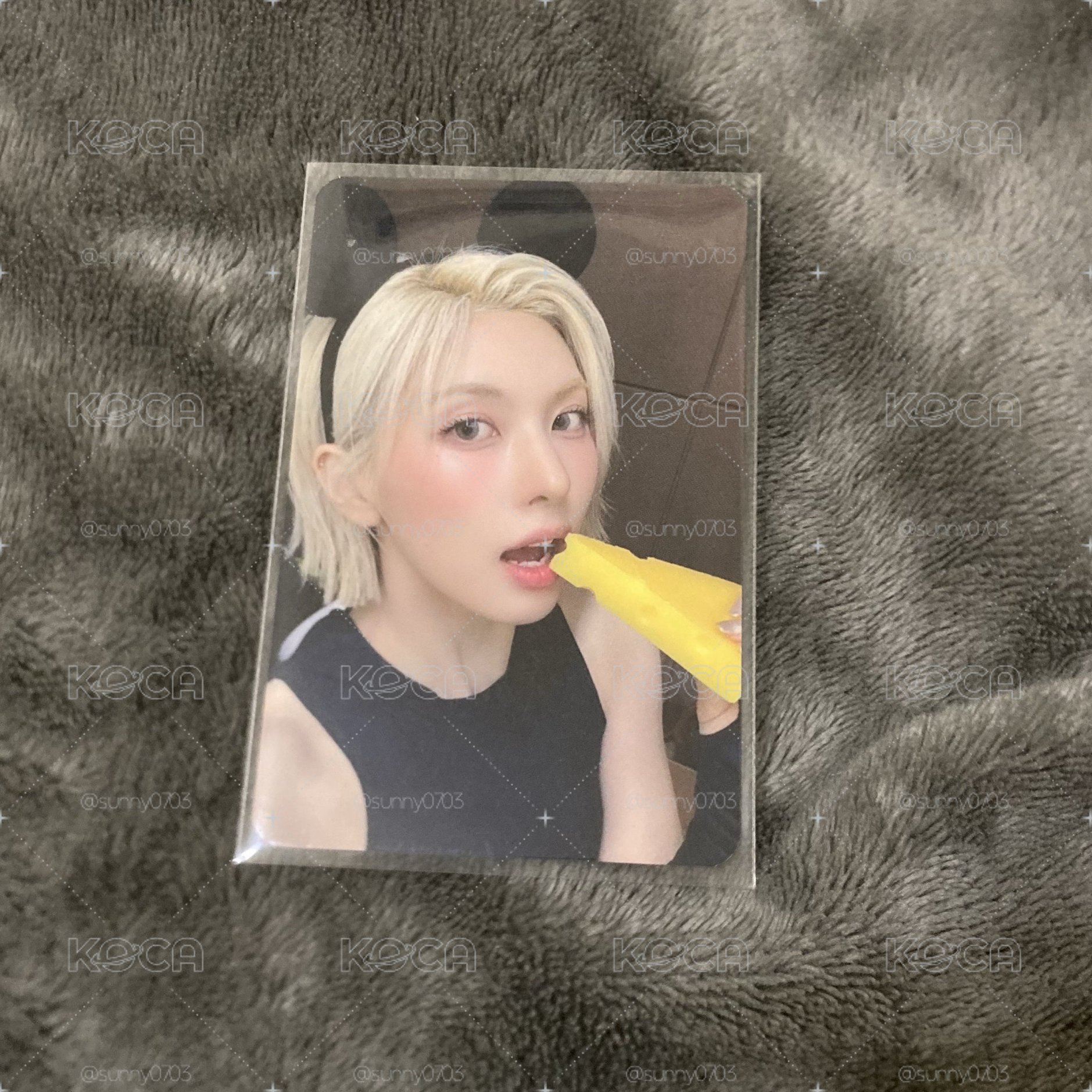 MS起司裴🧀