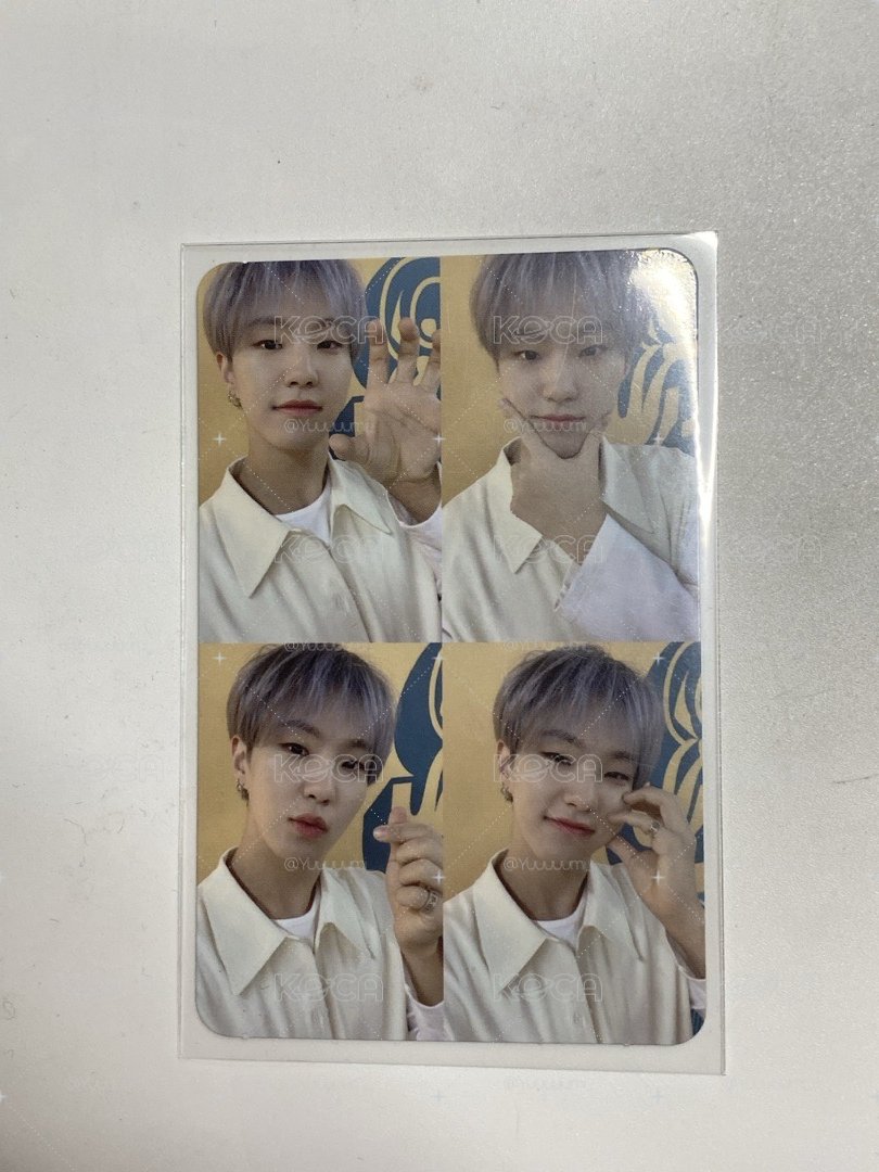 Seventeen Hoshi 四格榮