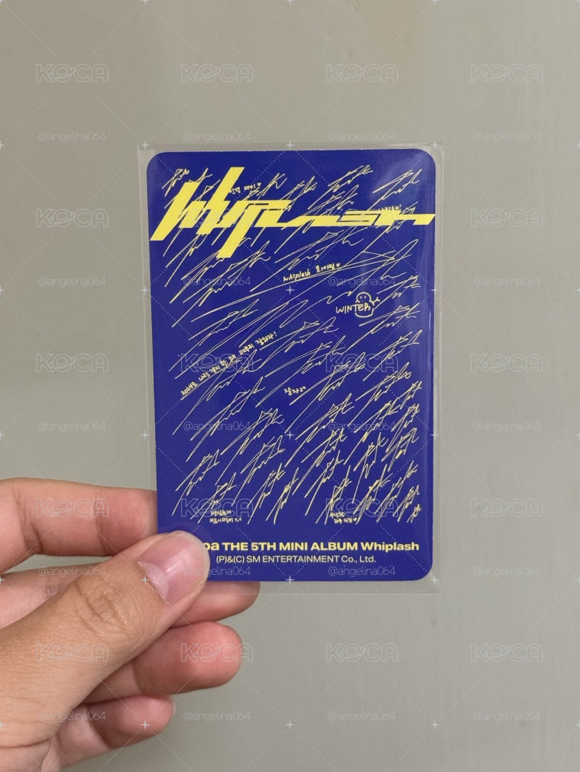 whiplash speed ver.冬專卡