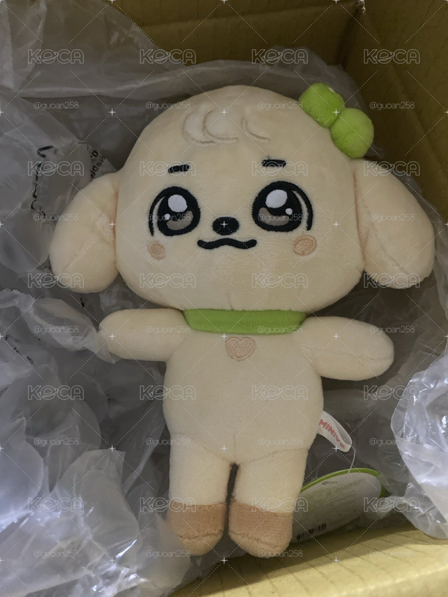 IVE MINIVE 安娃
