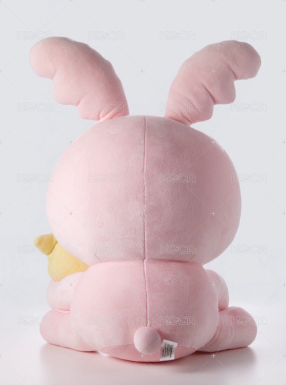 淨兔鼠