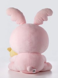 淨兔鼠