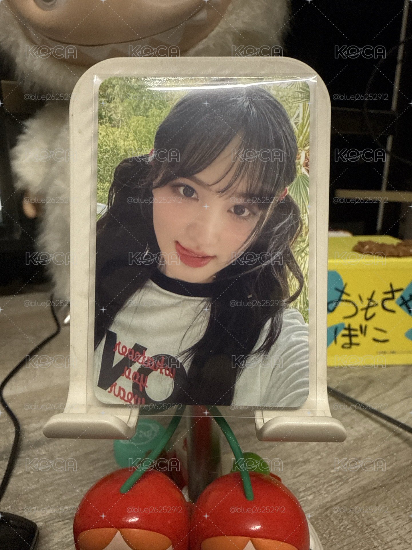 夏寫船特栗