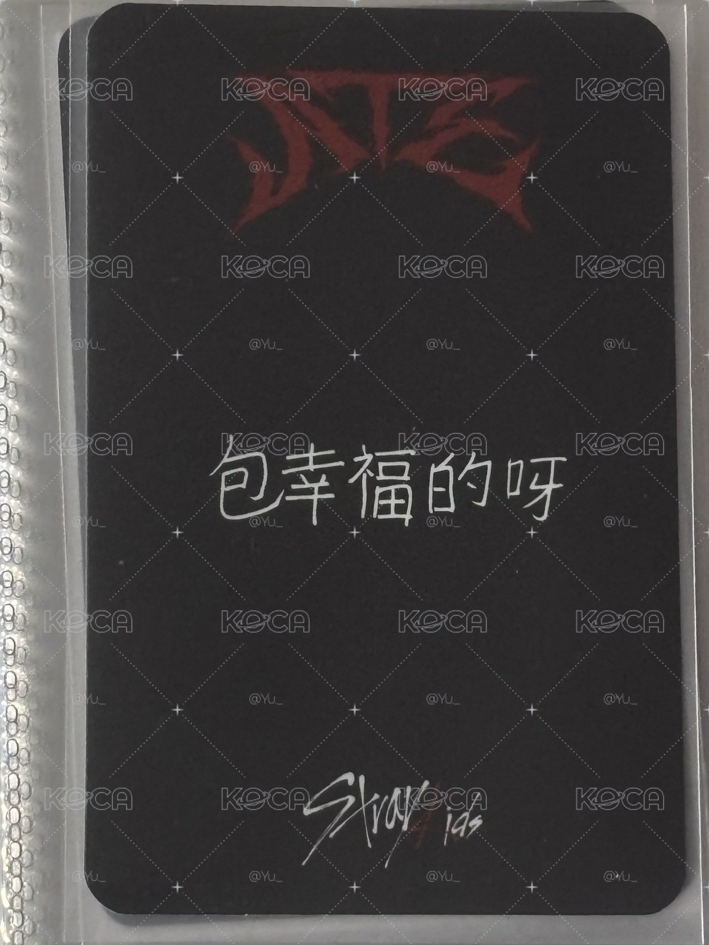 星河中背寅