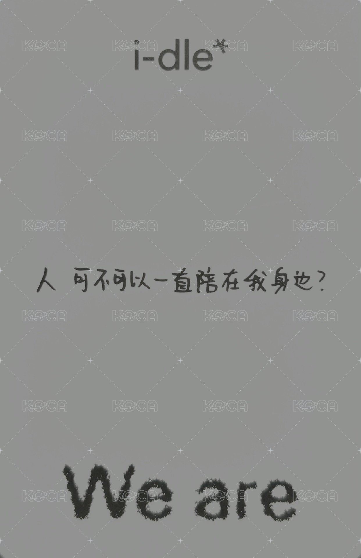 We are k4 特典卡 1.0 琦 背面