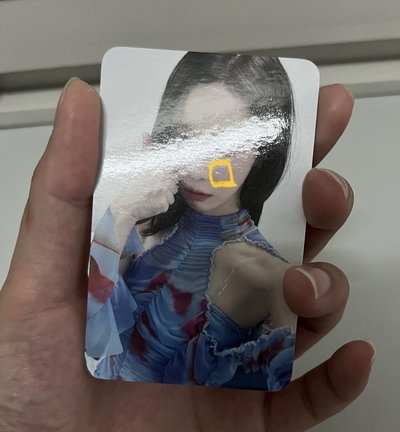 錦鯉冬