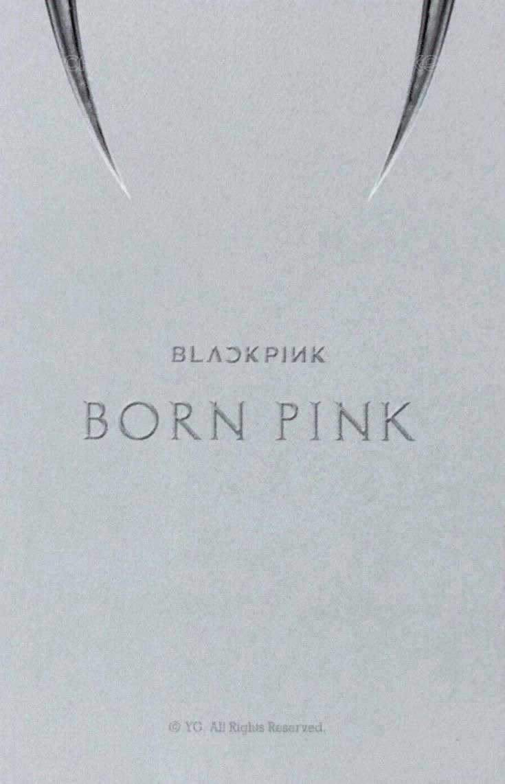 BORN PINK yg 特典卡 Digipack C ver. 背面