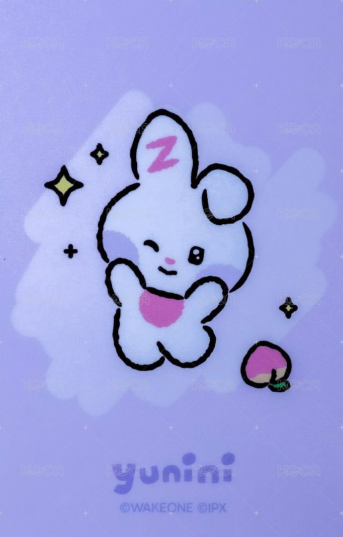 zeroni 周邊卡 ZB1 LINE FRIENDS 18cm 娃卡 背面