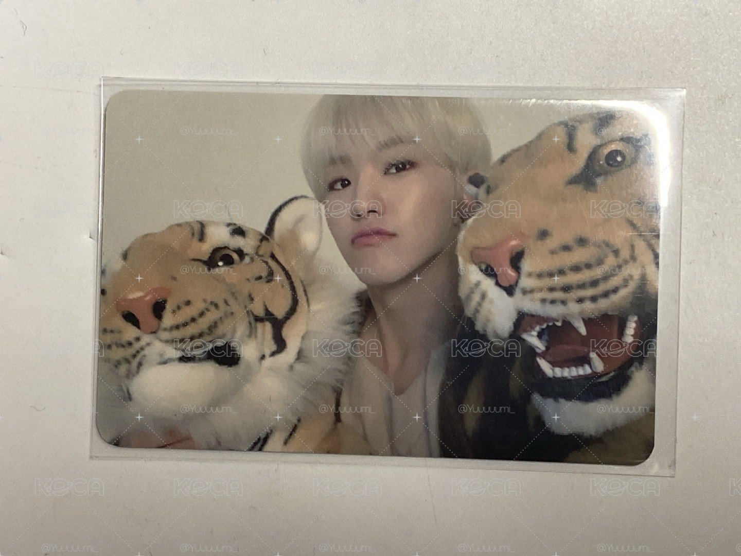 seventeen hoshi 三虎榮