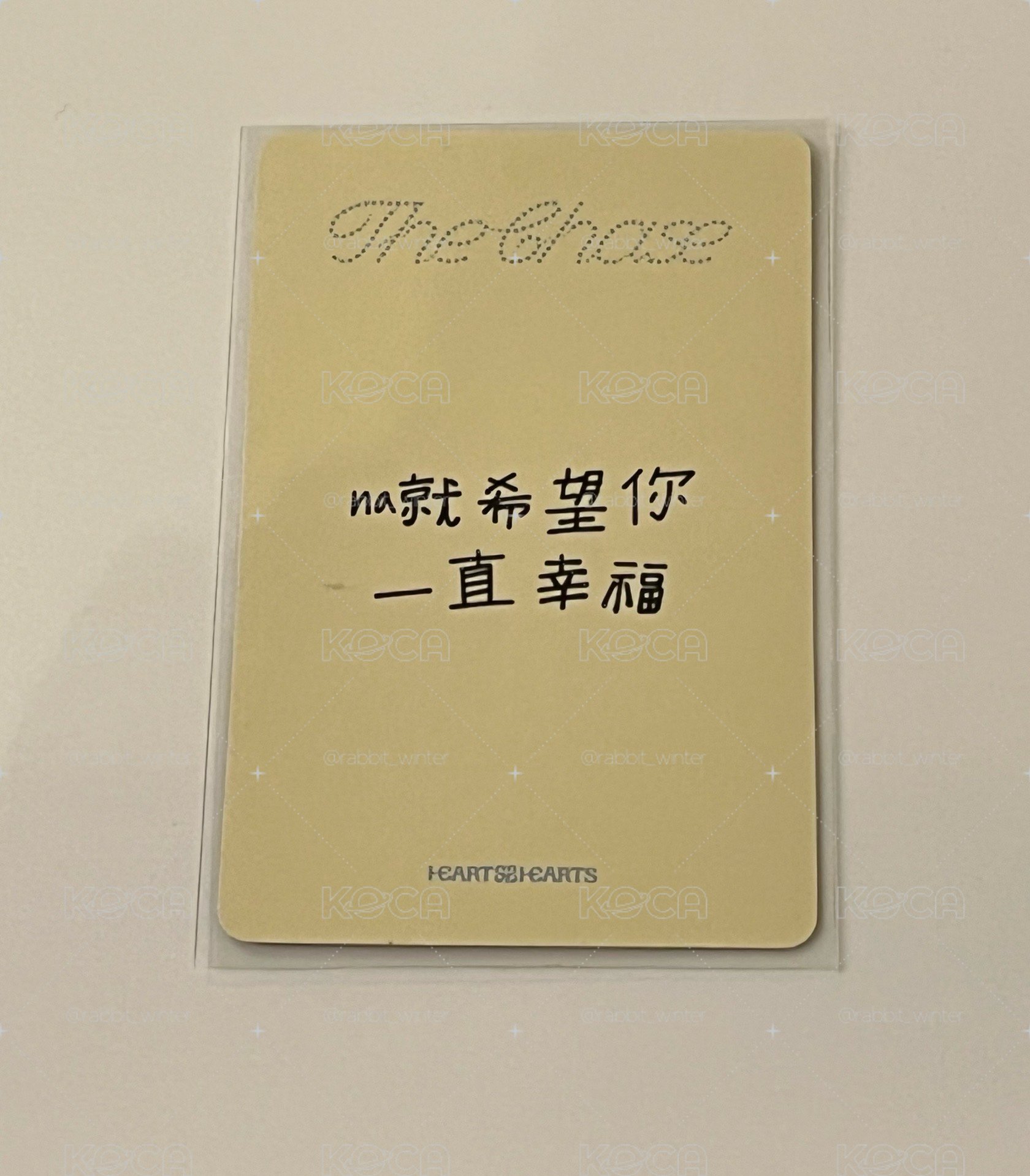 yzy 預售2.0 A-NA（中文卡背）
