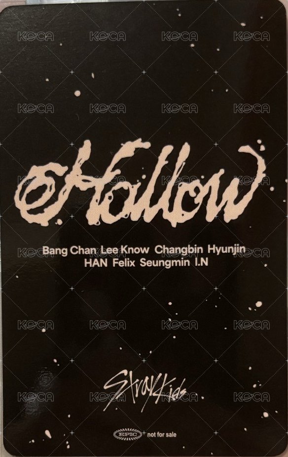 Hollow JYP JAPAN Fanclub 特典卡 FC盤 B賞雙人卡 背面