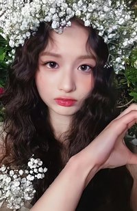 仲夏夜 阿拉丁 特典卡 預售 薛