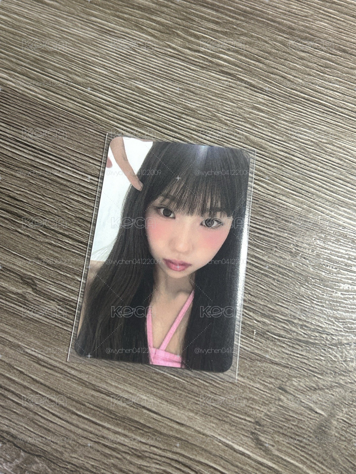 bw1.0庭