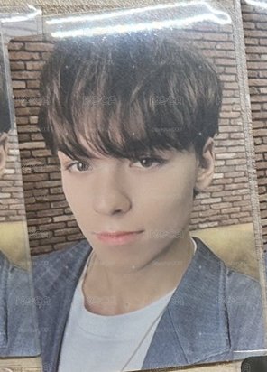正規三  vernon