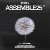 <ASSEMBLE25>