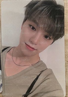 正規三 truth dino 李燦