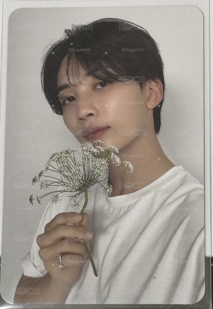 精選專克拉盤 淨漢