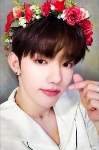迷三 ms 特典卡 花環 ver.
