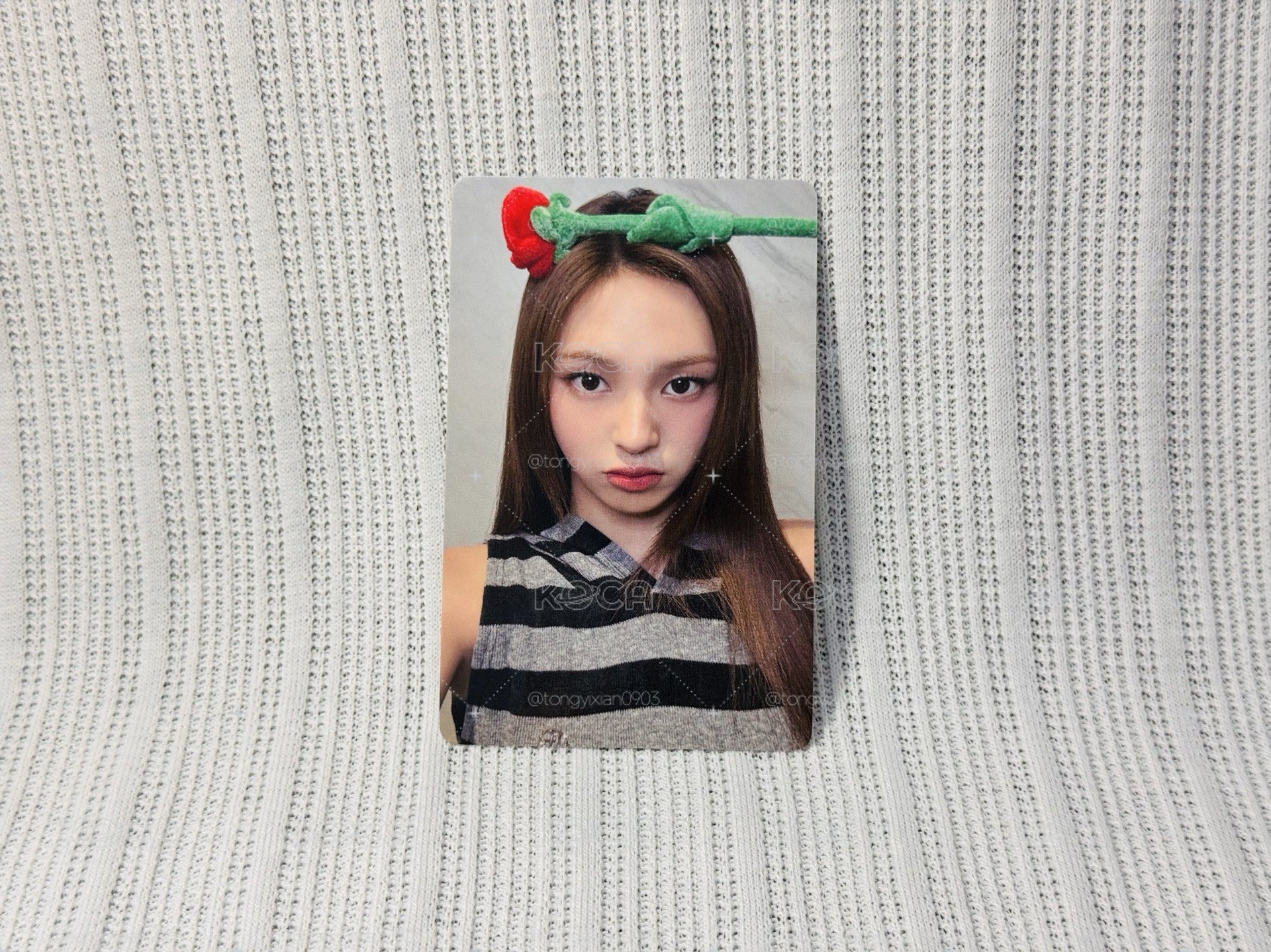 玫瑰日幸運卡 Chiquita