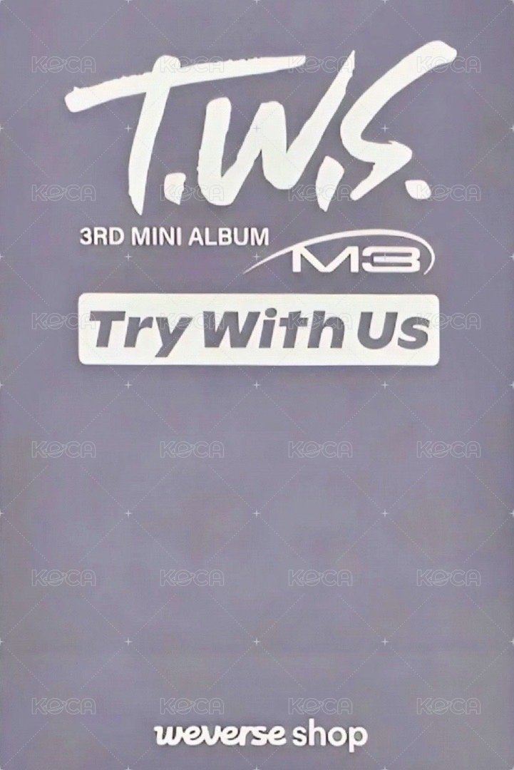 TRY WITH US wvs 特典卡 mini3 預售 背面