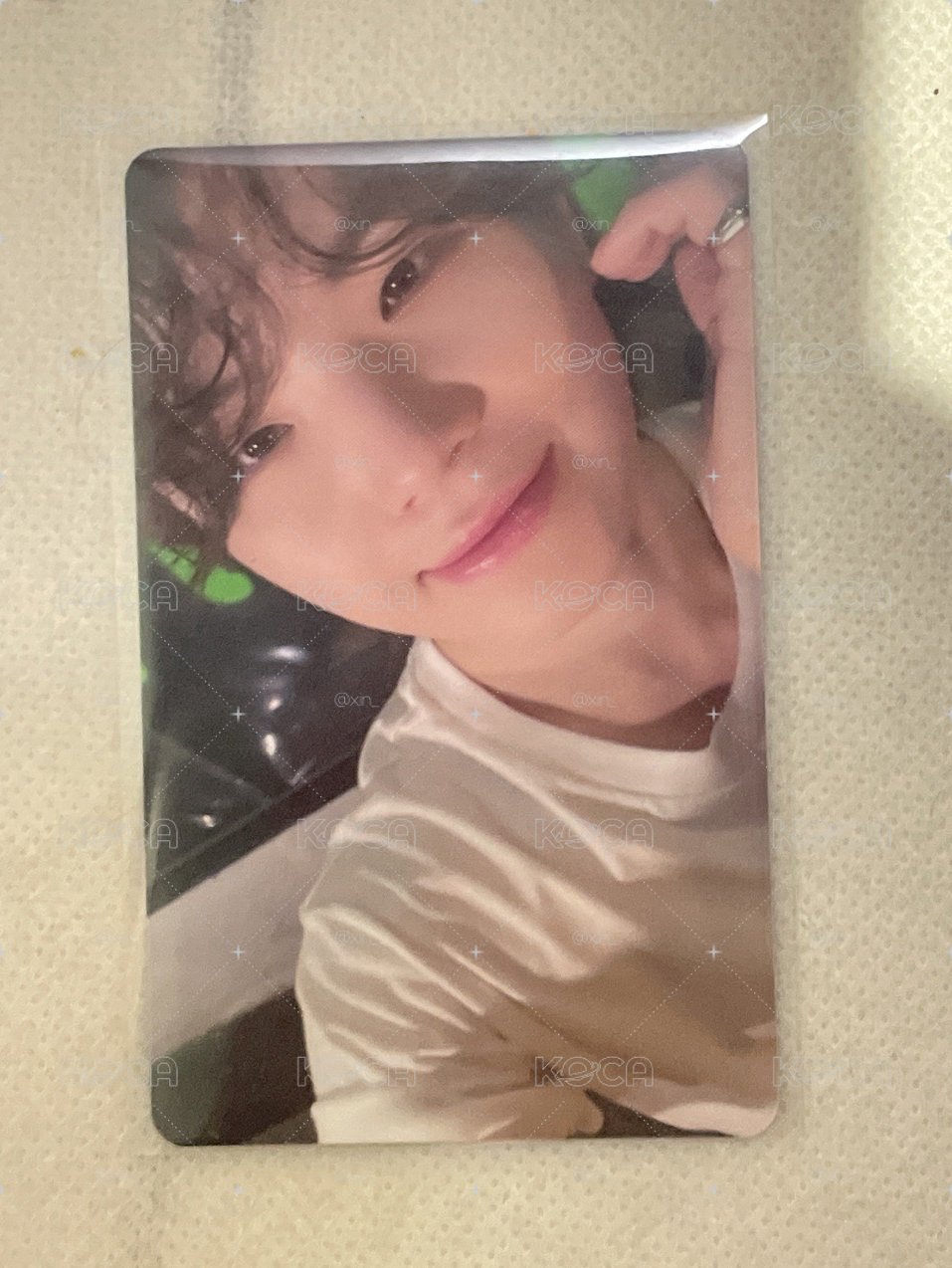 迷12 wvs東京場限 woozi