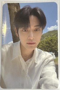 迷一 專輯卡 迷一專卡