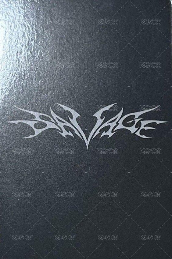 Savage 專輯卡 hallucination quest 故障吉 背面