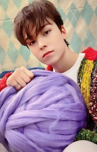 POL 專輯卡 CARAT ver.