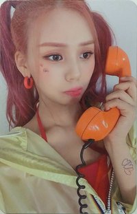 Summer Vibe 新那拉 特典卡 電話智