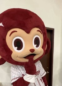 sofapotato