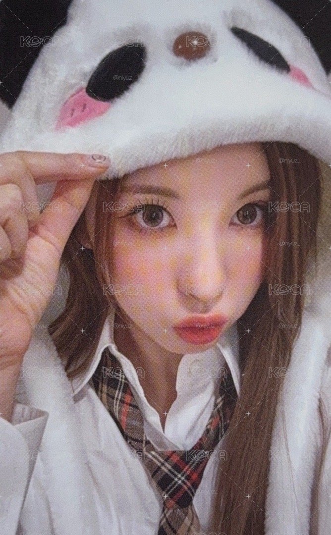 ms熊貓貝