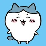 小八貓