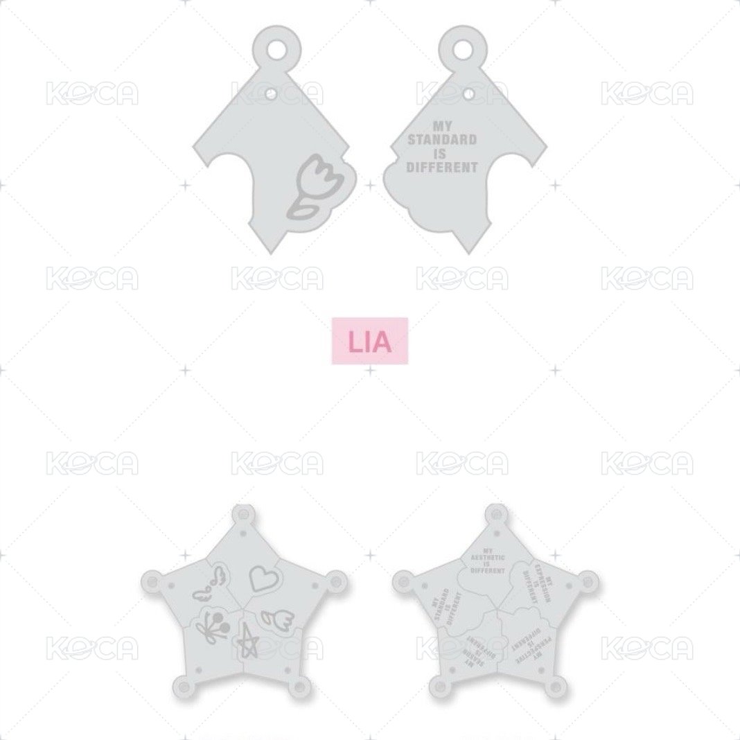 髮夾 LIA