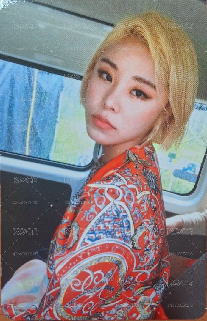 mamamoo 輝人 黃花專卡