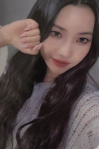 正規二 el 1.0 特典卡 