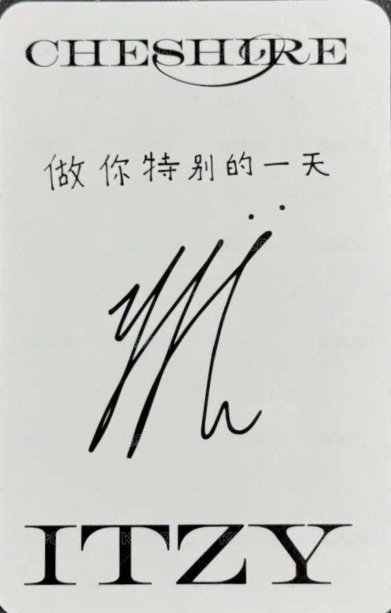 CHESHIRE yzy 特典卡 預售 背面
