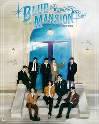 BLUE MANSION