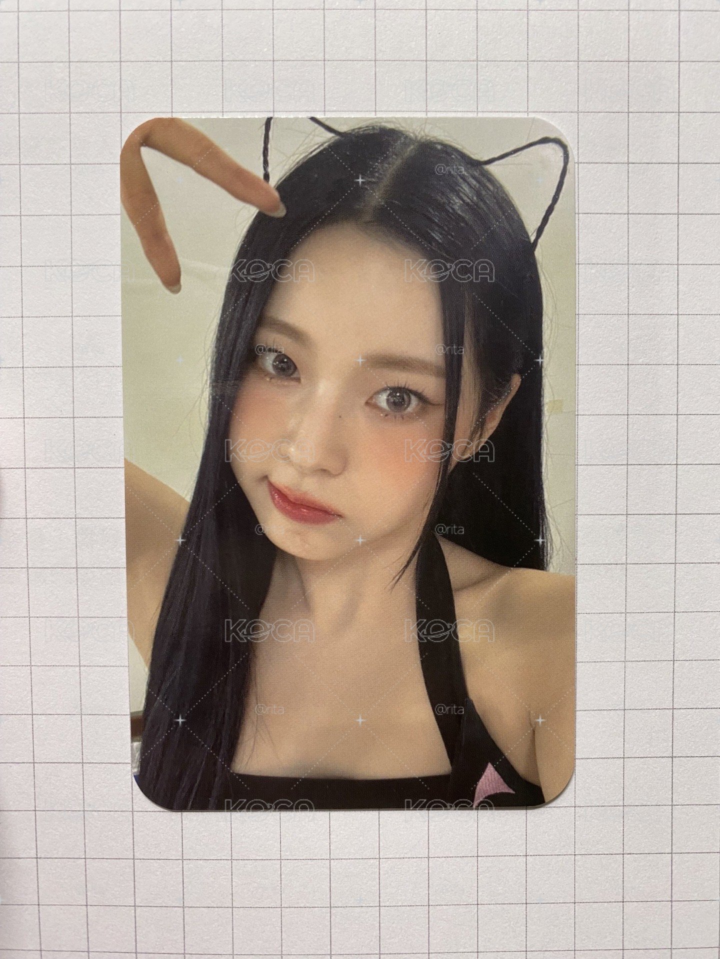 貓耳圭